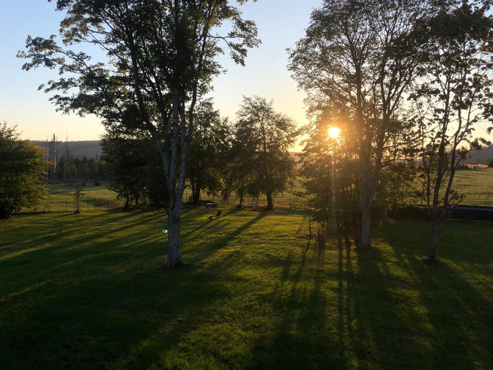 Altes Forsthaus Koenigskrug Daire Braunlage Dış mekan fotoğraf